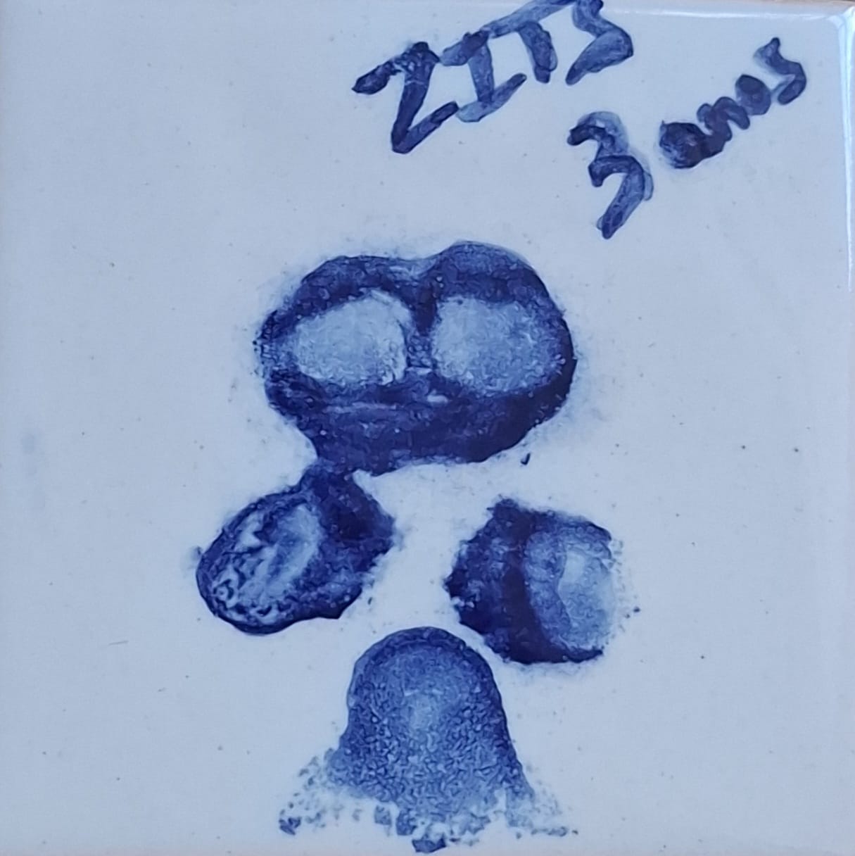 ZITs · 3 anos
